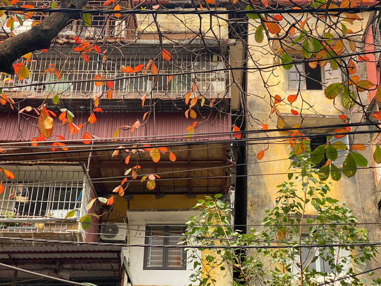 Hai đơn nguyên 1-3 đã bị nghiêng lún tách rời khỏi đơn nguyên 2 khoảng cách hơn 1m.