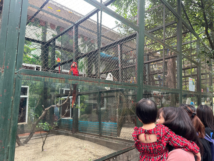 Nói nơi đây là vườn bách thú cũng không sai vì số lượng động vật tại đây rất nhiều, với hơn 100 loài động vật khác nhau: 35 loài thú, 50 loài chim, 40 loài cá nước mặt và 5 loài bò sát lưỡng cư.