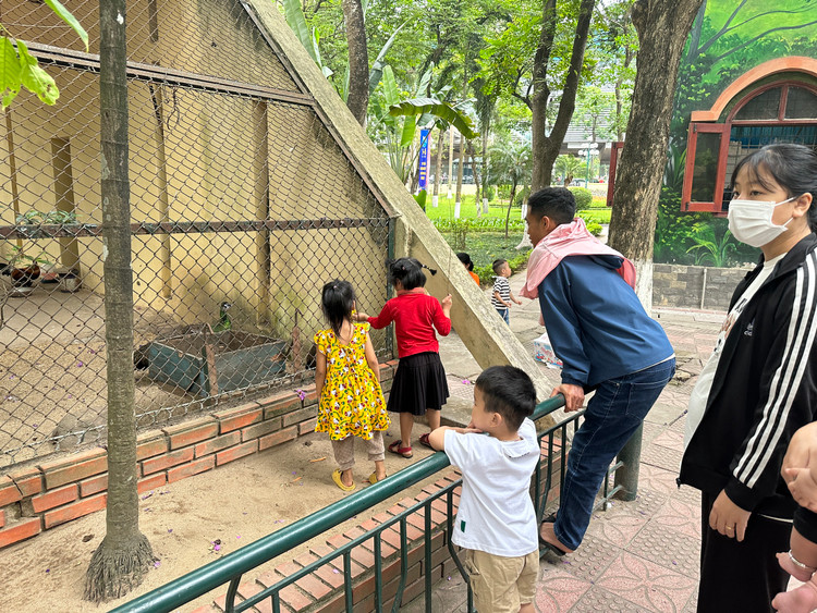 Anh Vinh chia sẻ " Hôm nay trời đẹp, lại là cuối tuần nên tôi tranh thủ đưa 2 con đi chơi. Các con rất thích thú khi được nhìn tận mắt nhiều loại động vật tại đây".