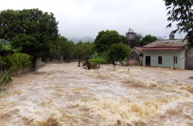 Ảnh minh họa. - Ảnh: internet.