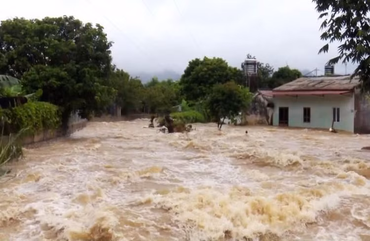 Ảnh minh họa. - Ảnh: internet.