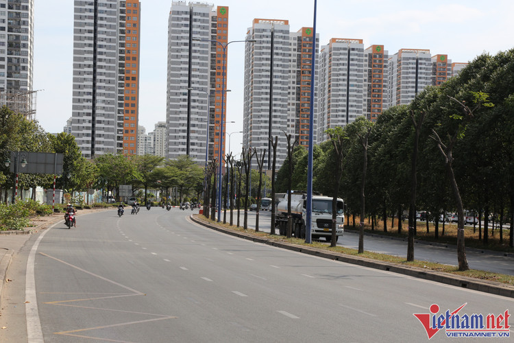 Việc đốn hạ và di dời cây xanh trên đường Mai Chí Thọ nhằm phục vụ xây dựng dự án nút giao thông An Phú có tổng mức đầu tư 3.400 tỷ đồng, do Ban Quản lý dự án đầu tư xây dựng các công trình giao thông TP.HCM làm chủ đầu tư. Ảnh:vietnamnet.