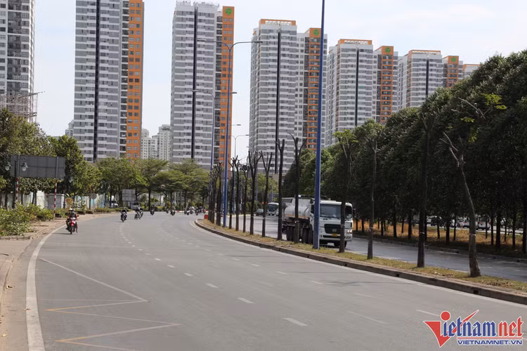 Việc đốn hạ và di dời cây xanh trên đường Mai Chí Thọ nhằm phục vụ xây dựng dự án nút giao thông An Phú có tổng mức đầu tư 3.400 tỷ đồng, do Ban Quản lý dự án đầu tư xây dựng các công trình giao thông TP.HCM làm chủ đầu tư. Ảnh:vietnamnet.