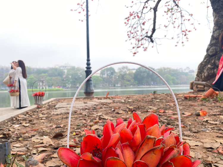 Những giỏ hoa gạo trở thành đạo cụ chụp ảnh ấn tượng.