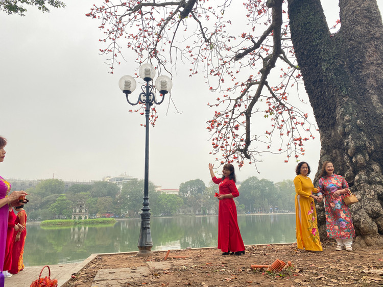 Cây gạo Hồ Gươm nổi tiếng với phần gốc lớn, hình dáng &quot;kì dị&quot;, bốn người ôm không xuể. Nếu khéo léo chọn góc máy, du khách có thể khoe dáng bên toàn bộ cây gạo cổ thụ và Tháp Rùa hồ Gươm. Với những du khách lớn tuổi, cây gạo không chỉ đẹp mà còn gợi lại kí ức tuổi thơ.- Ảnh:T.Huy.