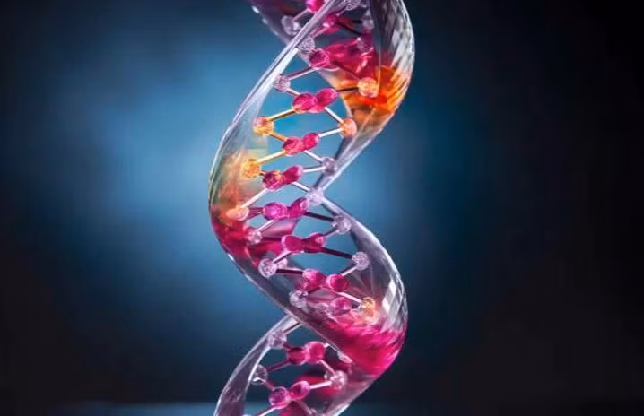 Mô hình 'khung xương' của vật liệu mới làm bằng DNA và thủy tinh - Ảnh: SCIENCE DAILY.