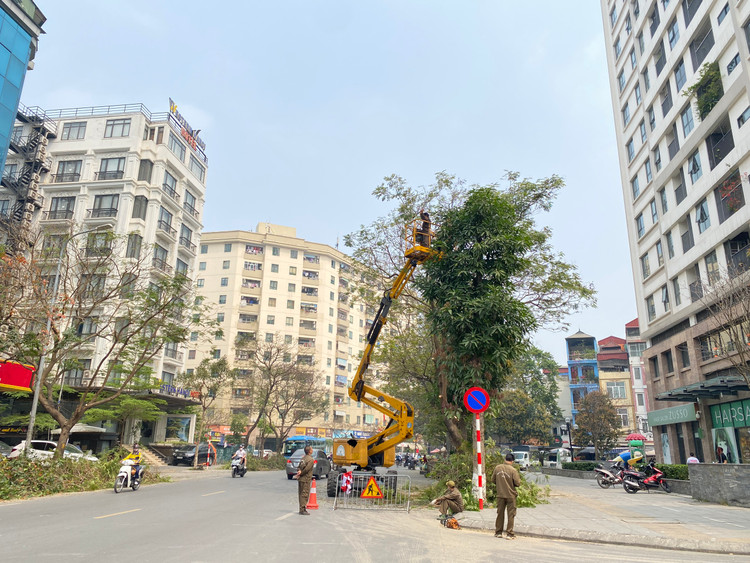 Ảnh minh họa. - Ảnh: T.Huy