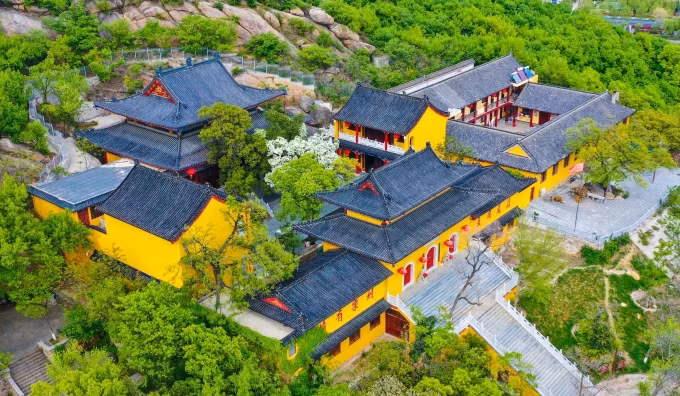 Cây hoa lưu tô được trồng từ thời Nam Tống, cách đây hàng trăm năm, vẫn ra hoa đều đặn vào mùa xuân, thu hút du khách tham quan - Ảnh: xinhua