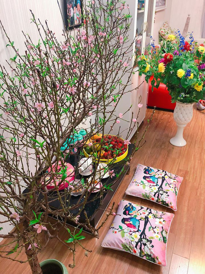 Hoa đào, hoa mai, cúc, nụ tầm xuân được xem là nữ hoàng của mùa xuân, biểu tượng cho sự may mắn, phát đạt - Ảnh:internet