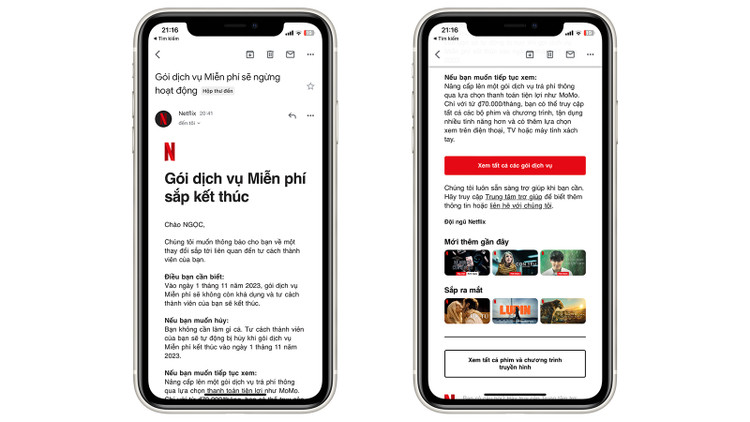 Email của Netflix gửi tới người dùng sử dụng gói Miễn phí.