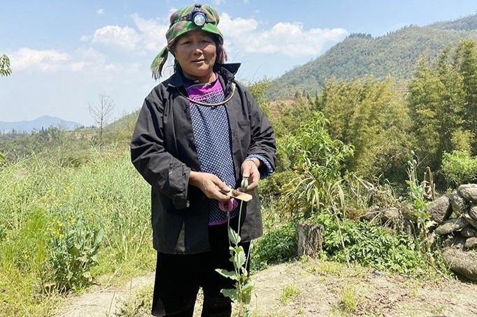 Nghi phạm Má Thị Phính. Ảnh: Công an Lào Cai.