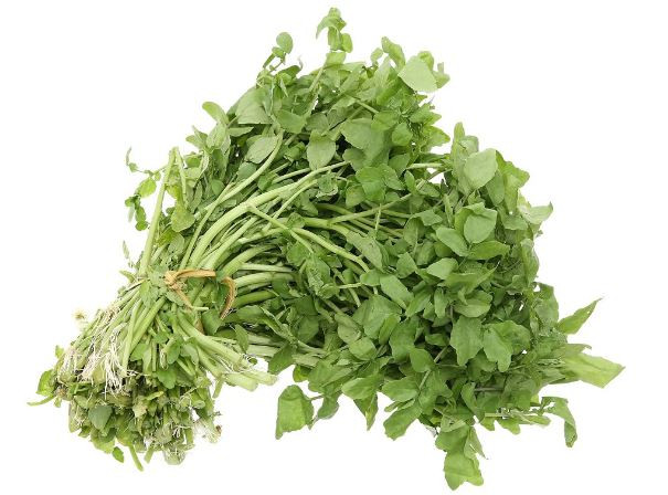 Rau cải xoong. - Ảnh: internet.