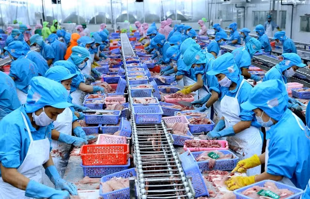 Ảnh minh họa - Ảnh:internet.