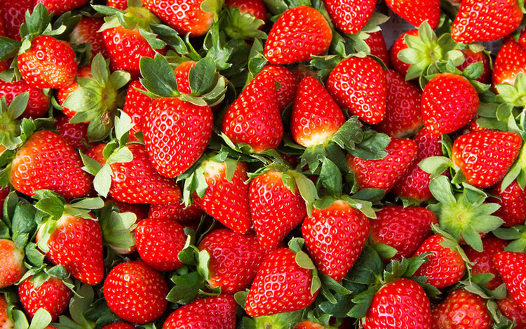 Dâu tây được nhiều người ưa thích không chỉ vì những công dụng chăm sóc sắc đẹp mà bởi vì chúng còn rất tốt cho răng miệng. Trong quả dâu tây có chứa malic acid và citric, các vitamin A, B1, B2, C,... đều là những chất có lợi cho sức khỏe, sắc đẹp và cả răng miệng nữa. Do có chứa malic acid và citric nên dâu tây cũng có khả năng giúp răng chắc khỏe và loại bỏ mảng bám tương tự như táo. Ngoài ra, dâu tây còn có khả năng giúp ngăn ngừa tình trạng răng bị xỉn màu nhờ chứa chất se tự nhiên. Ảnh: internet. Dâu tây được nhiều người ưa thích không chỉ vì những công dụng chăm sóc sắc đẹp mà bởi vì chúng còn rất tốt cho răng miệng. Trong quả dâu tây có chứa malic acid và citric, các vitamin A, B1, B2, C,... đều là những chất có lợi cho sức khỏe, sắc đẹp và cả răng miệng nữa. Do có chứa malic acid và citric nên dâu tây cũng có khả năng giúp răng chắc khỏe và loại bỏ mảng bám tương tự như táo. Ngoài ra, dâu tây còn có khả năng giúp ngăn ngừa tình trạng răng bị xỉn màu nhờ chứa chất se tự nhiên. Ảnh: internet.