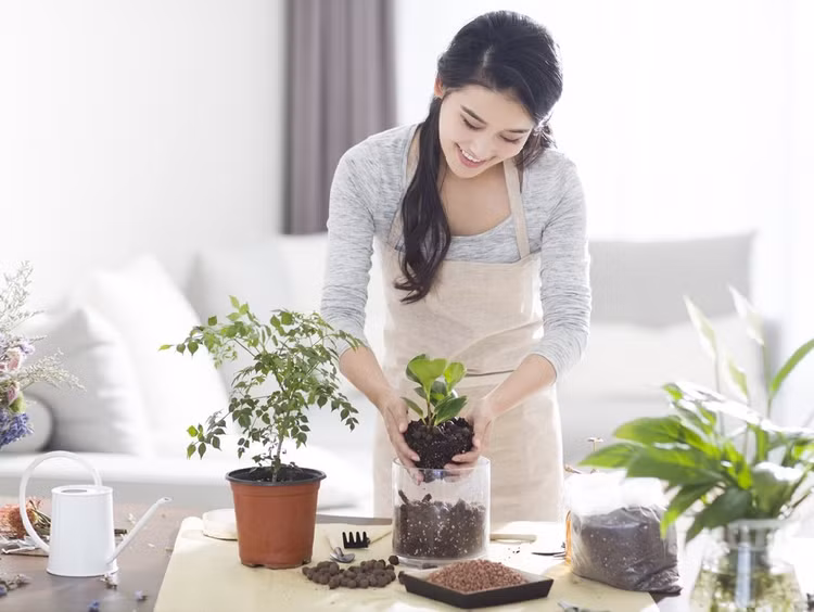 Ảnh minh họa.- Ảnh: internet.