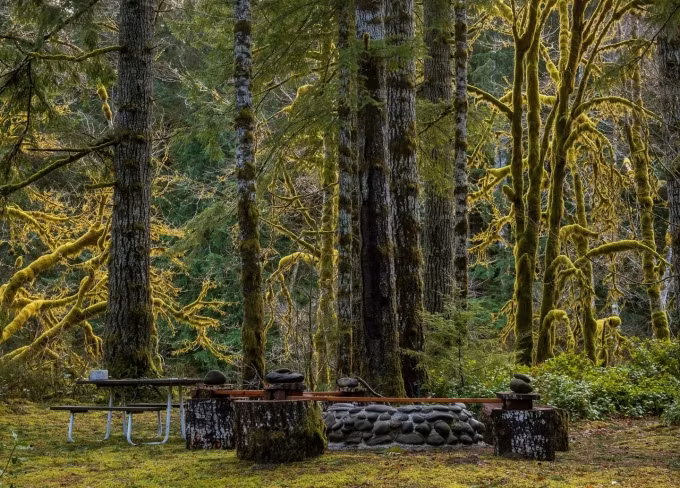 Rừng mưa Hoh (Hoh rain forest) là một trong những khu rừng mưa ôn đới lớn nhất Mỹ, nằm trên Bán đảo Olympic, phía Tây bang Washington. Nó rộng khoảng 39 km, với các cây có độ cao từ 120m tới 760m, dọc theo sông Hoh, gây ấn tượng với du khách nhờ khung cảnh ma mị, hấp dẫn. Ảnh: iflnationalparks