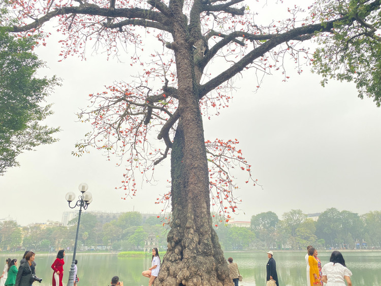 Rất đông du khách, nhiếp ảnh gia tìm tới đây check in, chụp ảnh.