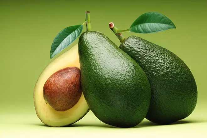 Bơ là cây ăn quả bổ dưỡng, phòng bệnh, dễ tiêu hóa, cân bằng hệ thần kinh, hạ cholesterol trong máu. - Ảnh: internet.