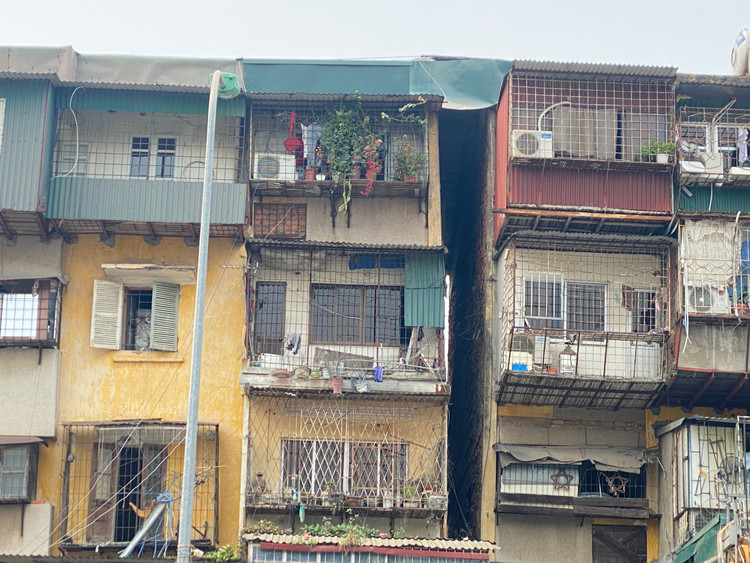 Khi nhìn bằng mắt thường, các đơn nguyên tách rời và nghiêng về 2 phía.