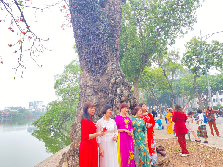 Cô Dung (người Hà Nội) cùng những người bạn tranh thủ thời gian diện những tà áo dài tạo dáng bên gốc cây hoa gạo đỏ rực.