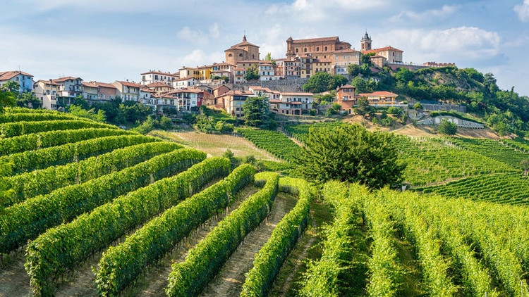 Ảnh: e55evu/iStockphoto.