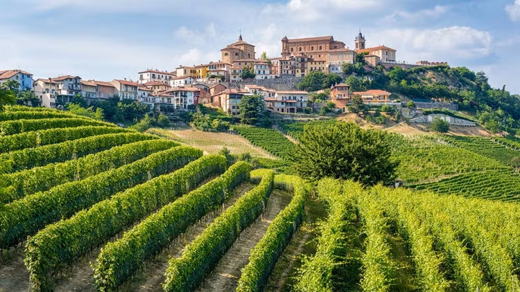 Ảnh: e55evu/iStockphoto. Ảnh: e55evu/iStockphoto.