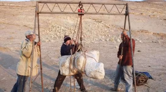 Các nhà khoa học vất vả khai quật những đốt sống khổng lồ, siêu nặng - Ảnh: Giovanni Bianucci