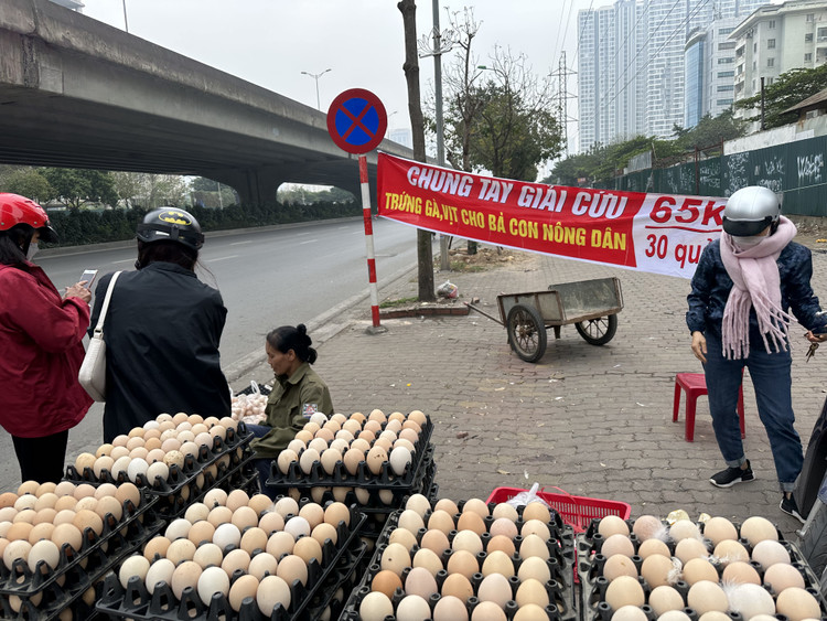 Một trong những điểm bán trứng tại Hà Nội. Ảnh: Tuấn Huy
