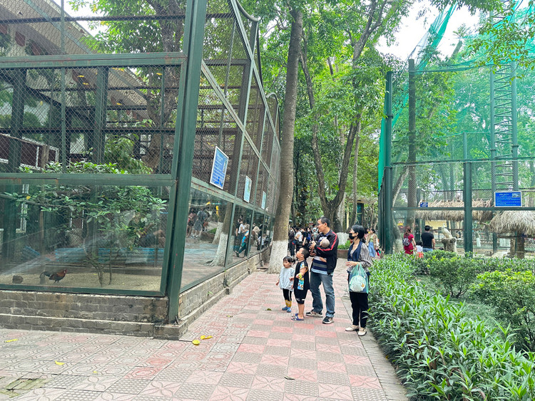 Khi tham quan vườn thú tại đây, nhiều bạn nhỏ sẽ được trực tiếp xem và tiếp xúc, học hỏi những kiến thức hay ho, lí thú về những loài động vật được nuôi dưỡng tại đây.