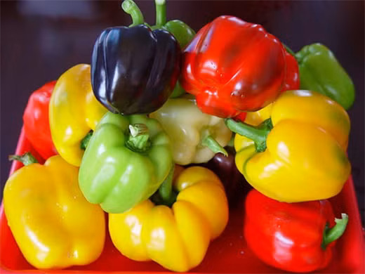 Ớt chuông là nguồn cung cấp một lượng lớn carotenoid và vitamin A khá dồi dào. Đây là hai loại dưỡng chất cần thiết cho một đôi mắt khỏe của chúng ta.