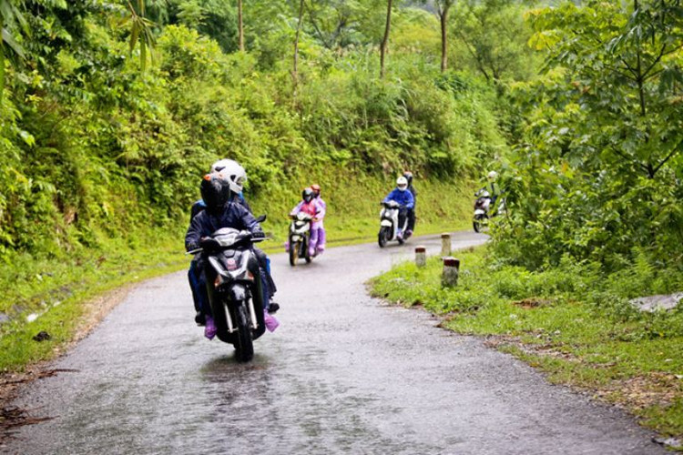 Ảnh minh họa. - Ảnh: internet.