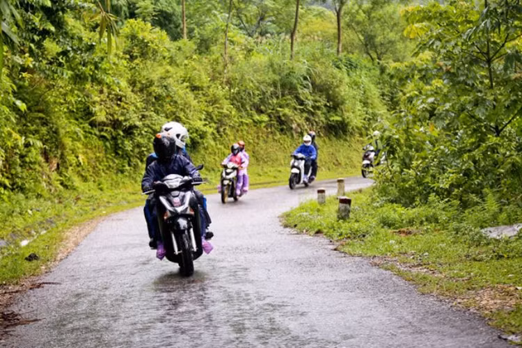 Ảnh minh họa. - Ảnh: internet.