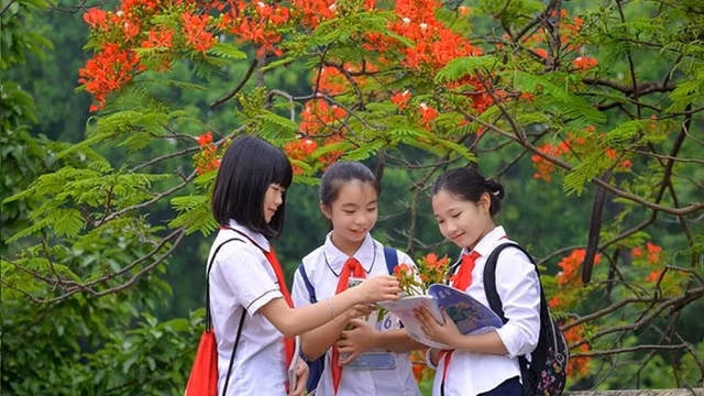 Ảnh minh họa. Ảnh: internet..