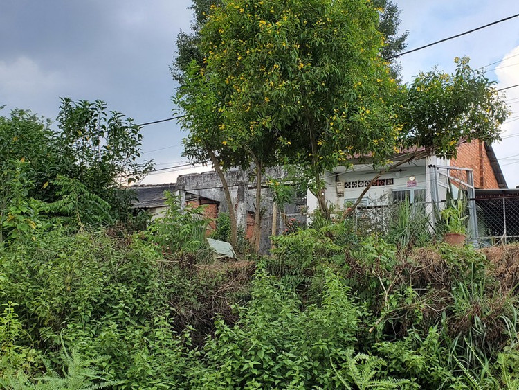 Một điều đáng nói là dự án Công viên Phú Cường cũng “treo” như dự án khu dân cư Thủ Dầu Một Thế Kỷ 21. Nguyên nhân cho chưa có sự thống nhất ranh giới quy hoạch và vị trí tái định cư nên không thế lập quy hoạch chi tiết 1/500.