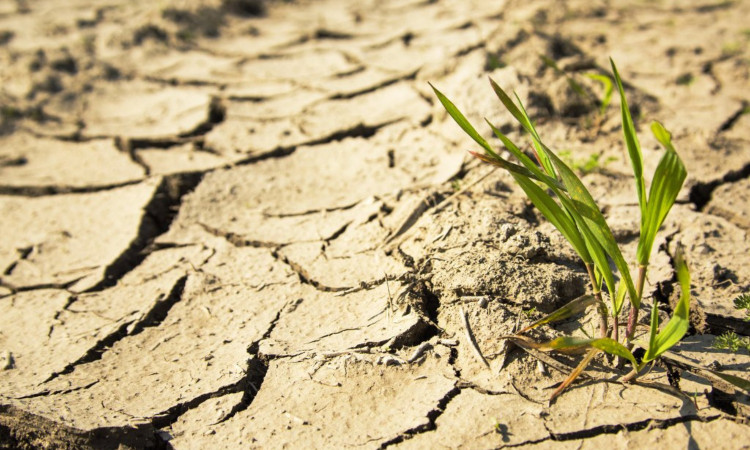 Tây Ban Nha năm 2014 - Ảnh: KhoaHoc.tv.