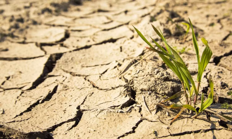 Tây Ban Nha năm 2014 - Ảnh: KhoaHoc.tv.