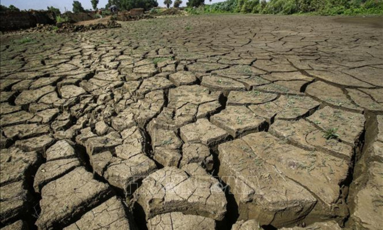 Sahel (Tây Phi) năm 2012 - Ảnh: Báo Đắk Lắk