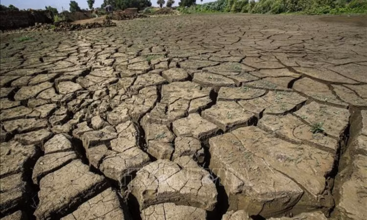 Sahel (Tây Phi) năm 2012 - Ảnh: Báo Đắk Lắk