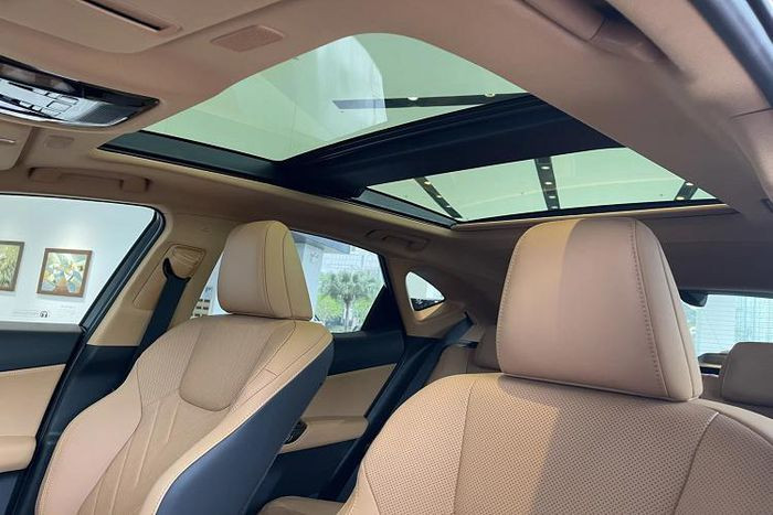 Cận cảnh Lexus NX 350h 2022 giá 3,3 tỷ đồng tại Việt Nam ảnh 10