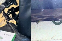 Hãi hùng phát hiện "quái vật" rắn đen bụng đỏ khổng lồ