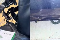 Hãi hùng phát hiện "quái vật" rắn đen bụng đỏ khổng lồ