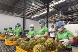 [VIDEO] Việt Nam chia sẻ hệ thống truy xuất nguồn gốc nông sản với Trung Quốc