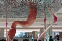 Loạt ảnh siêu thực được ghi lại khiến người nhìn sửng sốt