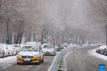 Hình ảnh tuyết rơi trắng xóa ở Trung Quốc