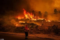 Hãi hùng cảnh cháy rừng như hỏa ngục ở Bồ Đào Nha