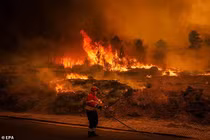 Hãi hùng cảnh cháy rừng như hỏa ngục ở Bồ Đào Nha