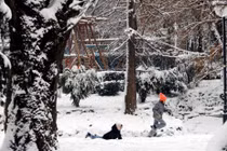 Hình ảnh mùa đông lạnh giá ở Romania