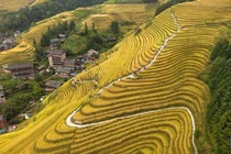 Mê đắm cảnh sắc mùa thu tuyệt đẹp ở Trung Quốc