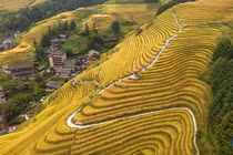 Mê đắm cảnh sắc mùa thu tuyệt đẹp ở Trung Quốc