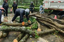 Cảnh ngổn ngang tại Trung Quốc sau bão Matmo